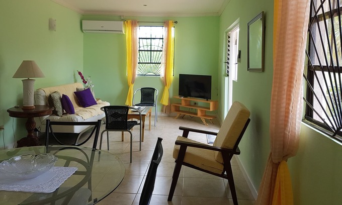Gibbons Boggs Apartment | Air Conditioned 1 Bedroom Apartment 5 minutes away from Miami Beach