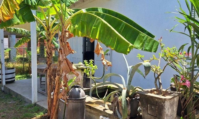 Douglas Apartment | Cozy Tropical Escape-1 Bedroom
