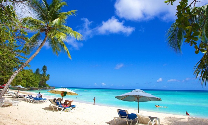 St. Lawrence Gap Hotel | Experience Soothing Moments & Luxury! 3 Units w/Balcony | Outdoor Pool