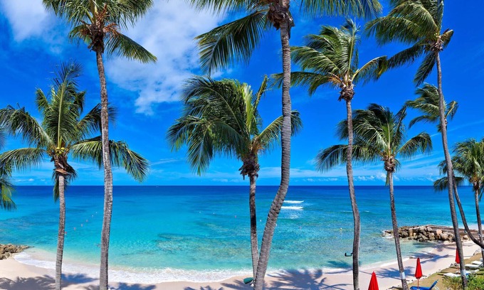 Reeds Bay Condo | Reeds House 12 Luxury condo