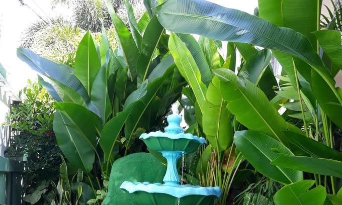 Maynards Apartment | Tropical Petal Apt. for Two-w a/c, k-sized bed TV, super wi-fi.