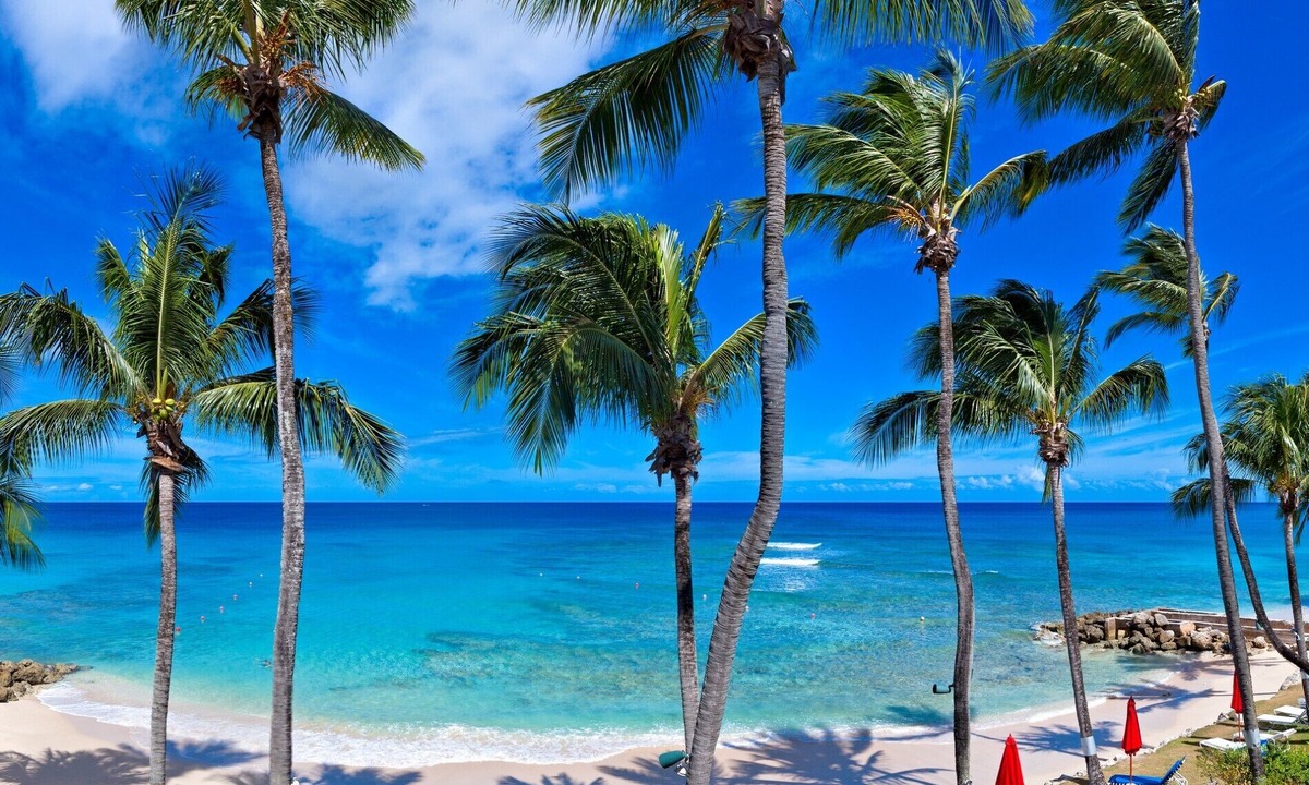 Weston Villa | Reeds Penthouse #12 - Amazing 3 Bedroom Villa on the cusp of Reeds Bay.