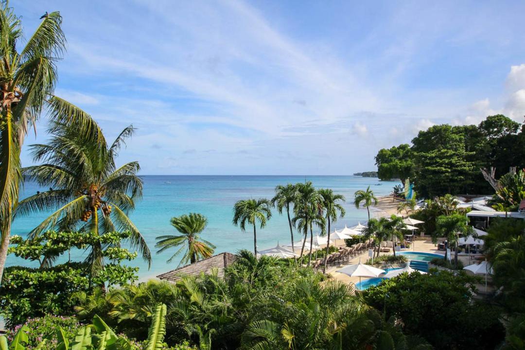 Old Trees Bay Apartment | Stunning Beachfront Condo on Paynes Bay
