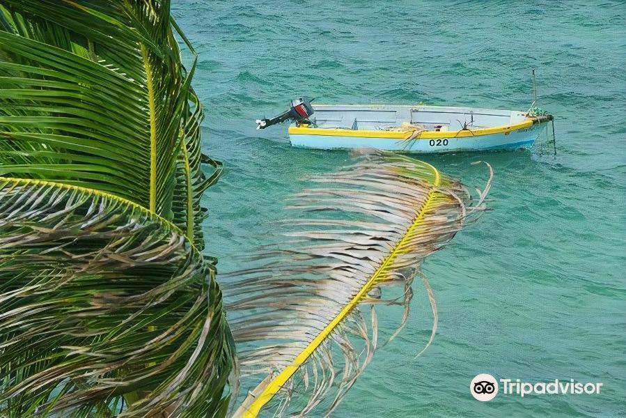 Photo of Others in Bathsheba