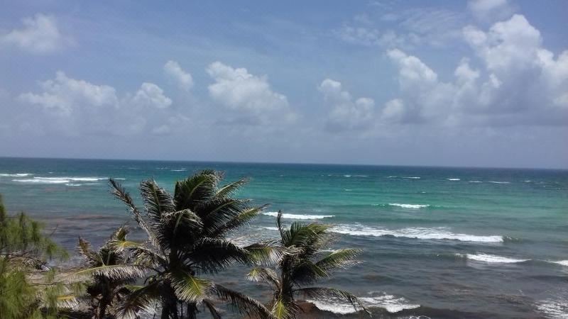 Photo of Outdoor in Maxwell