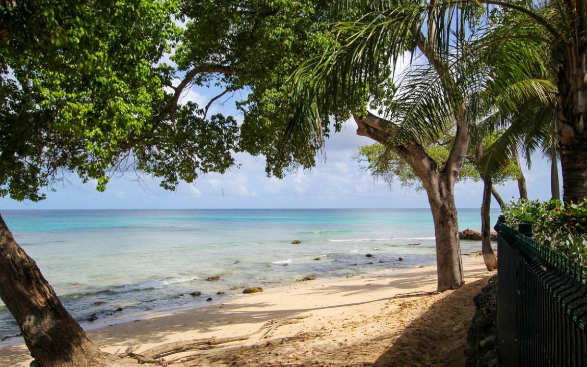 Photo of Others in Old Trees Bay