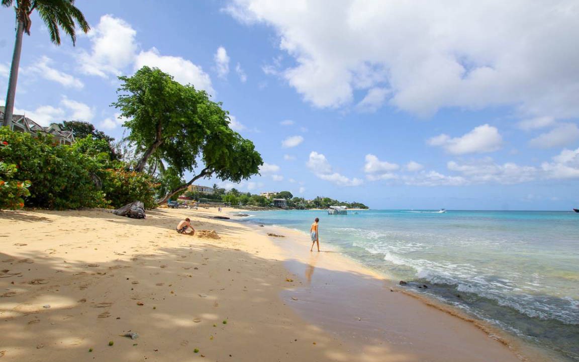 Photo of Others in Old Trees Bay