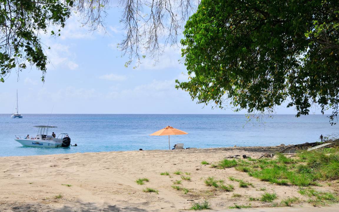 Photo of Others in Reeds Bay
