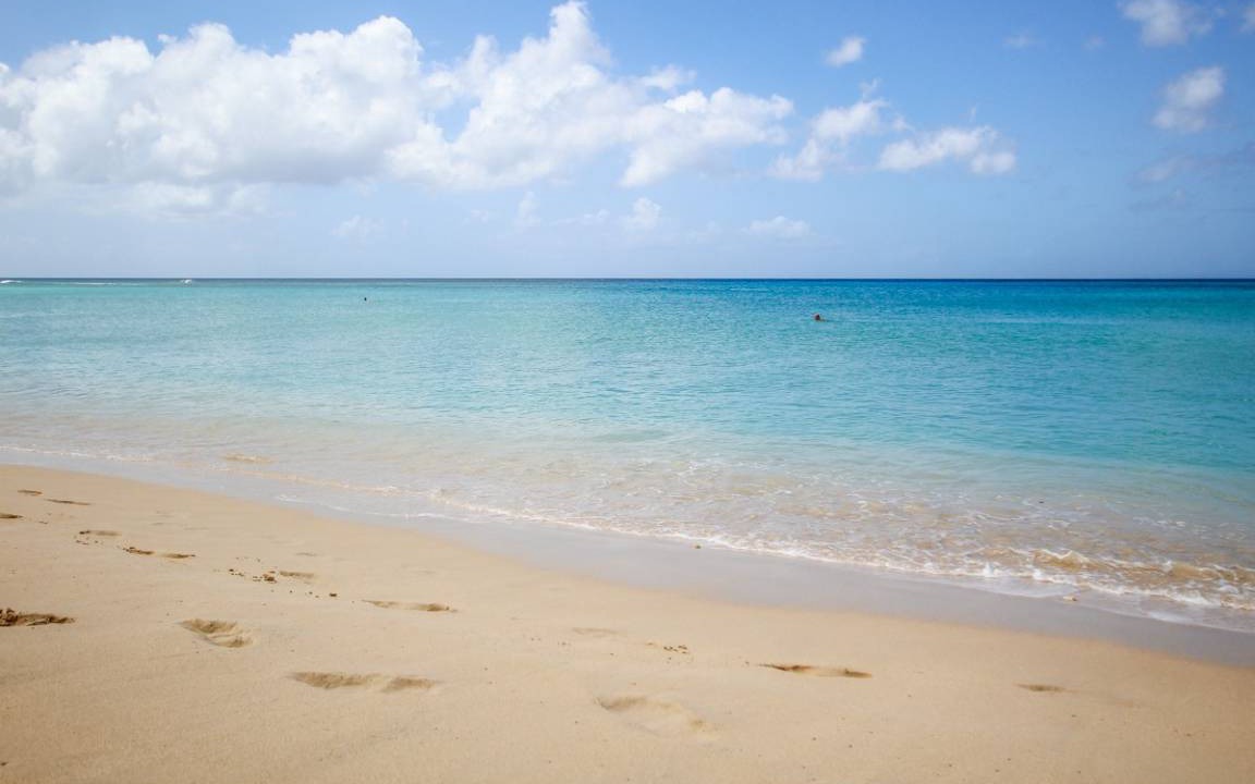 Photo of Others in Reeds Bay