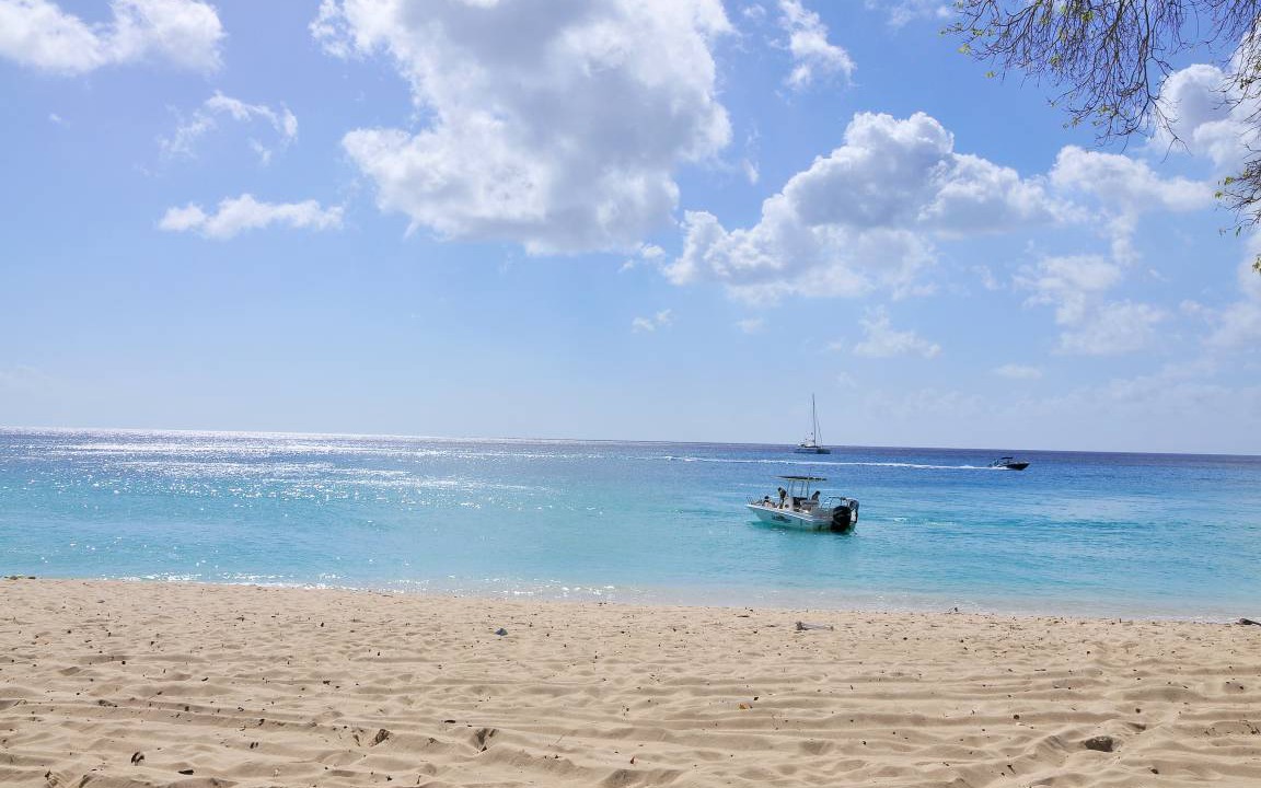 Photo of Others in Reeds Bay