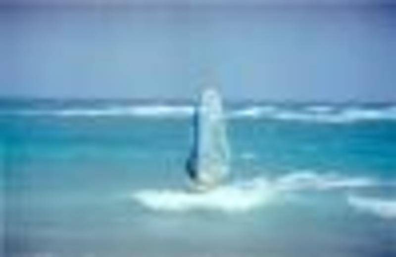 Photo of Others in Silver Sands