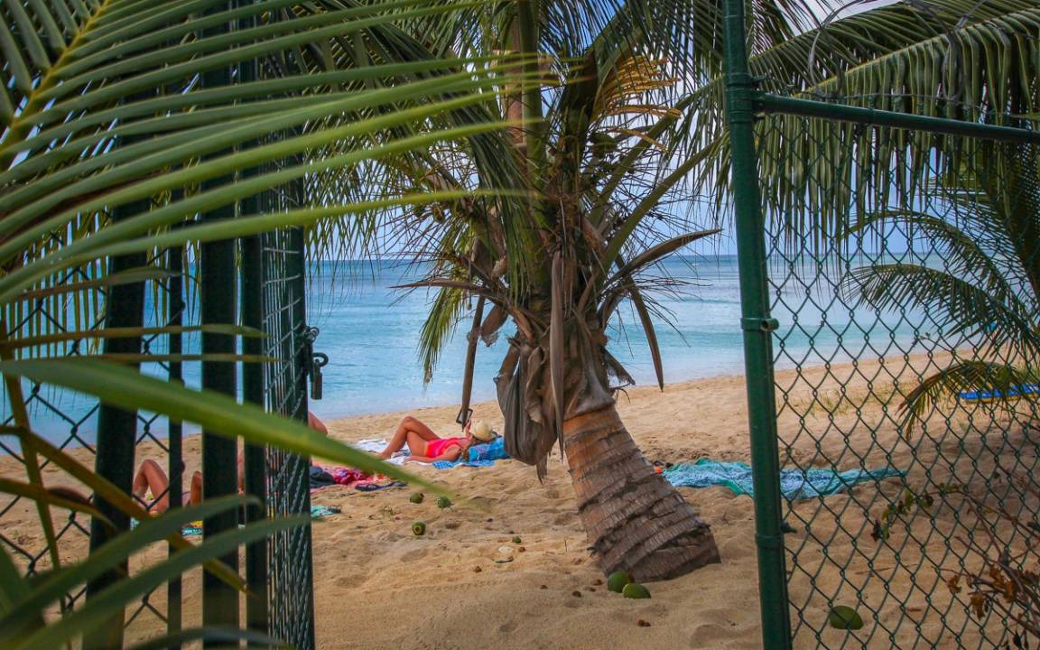 Photo of Others in Reeds Bay