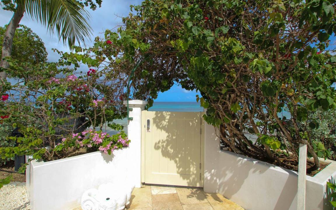Photo of Others in Old Trees Bay