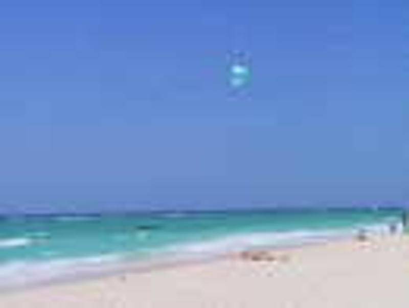Photo of Others in Silver Sands