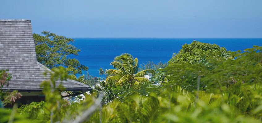 Photo of Others in Halcyon Heights