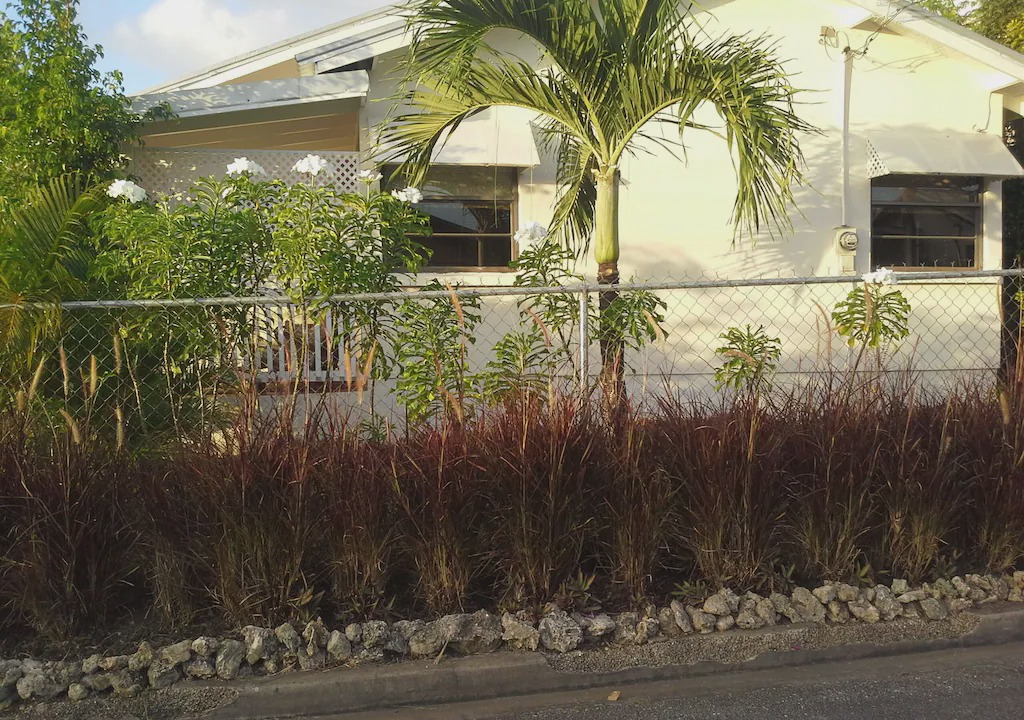 Photo of Buildings in Weston