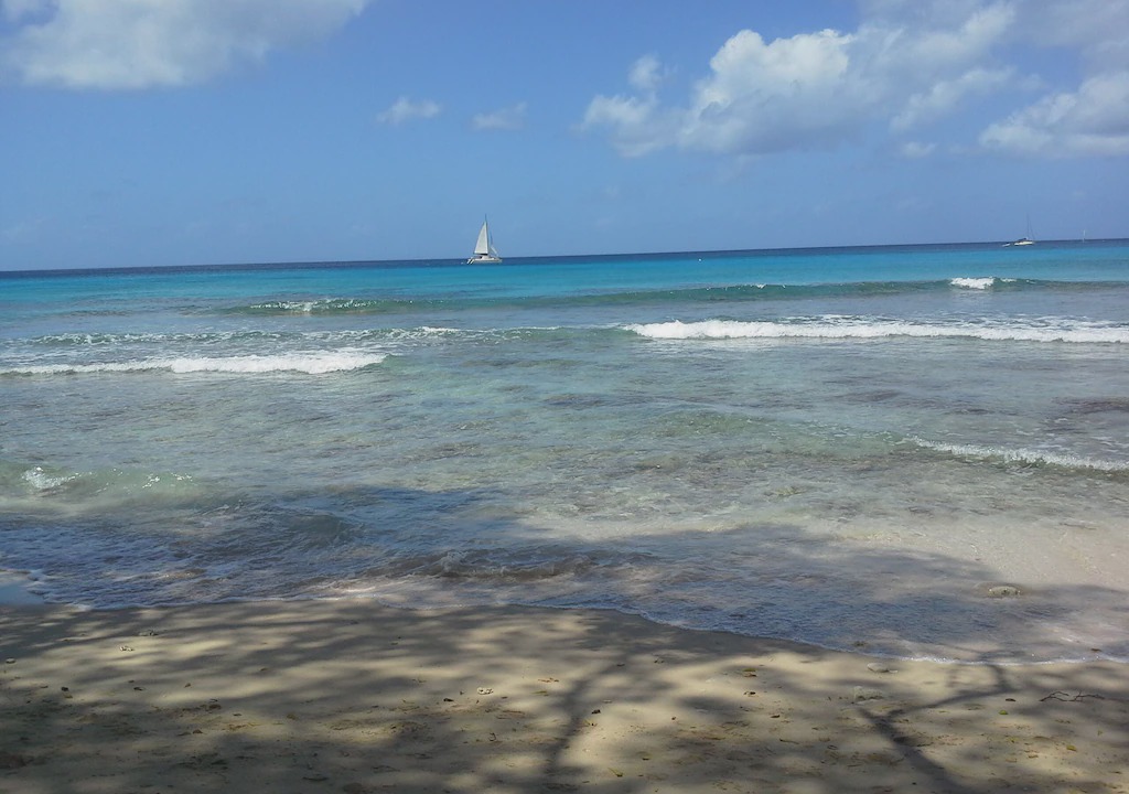Photo of Outdoor in Weston