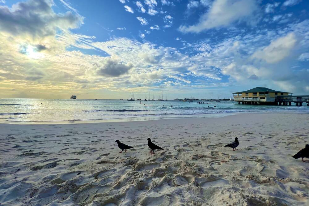 Photo of Others in Bridgetown