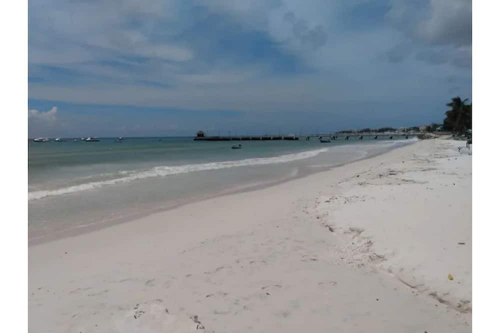 Photo of Others in Ocean City