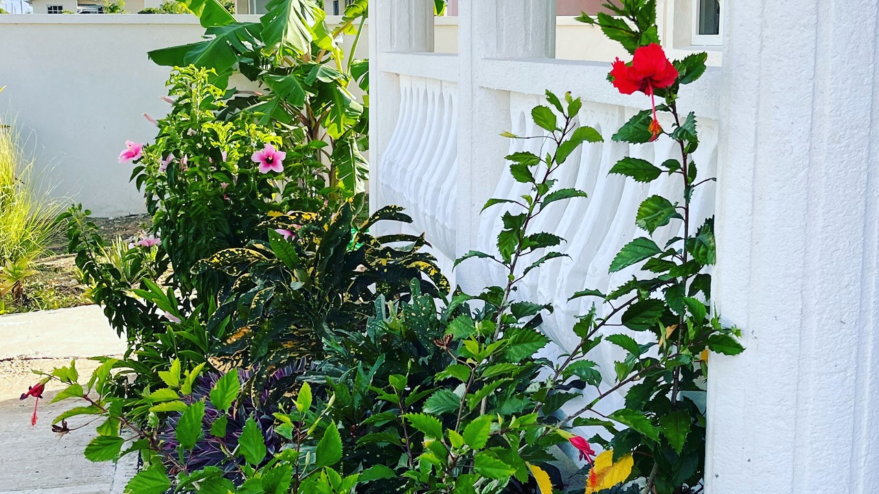 Photo of Outdoor in Union Hall