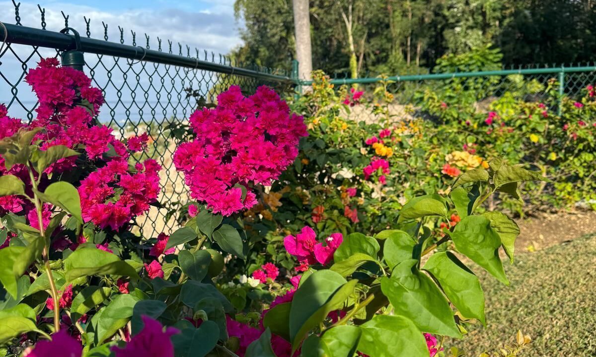 Photo of Outdoor in Mullins