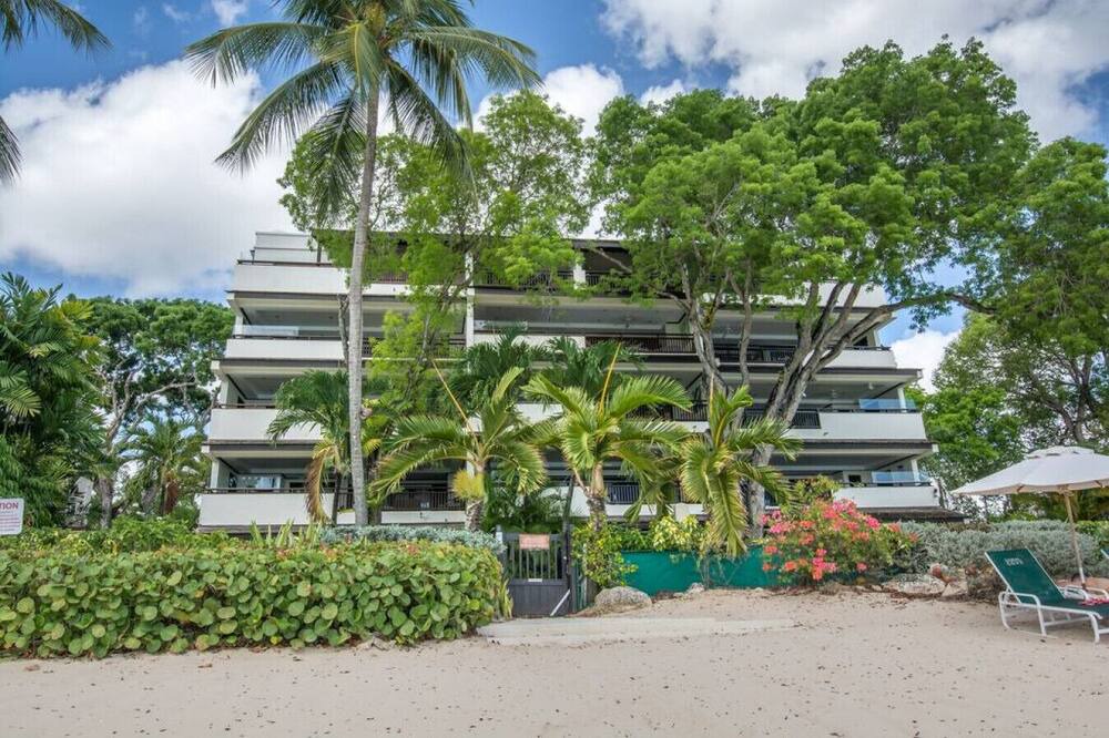 Photo of Others in Old Trees Bay