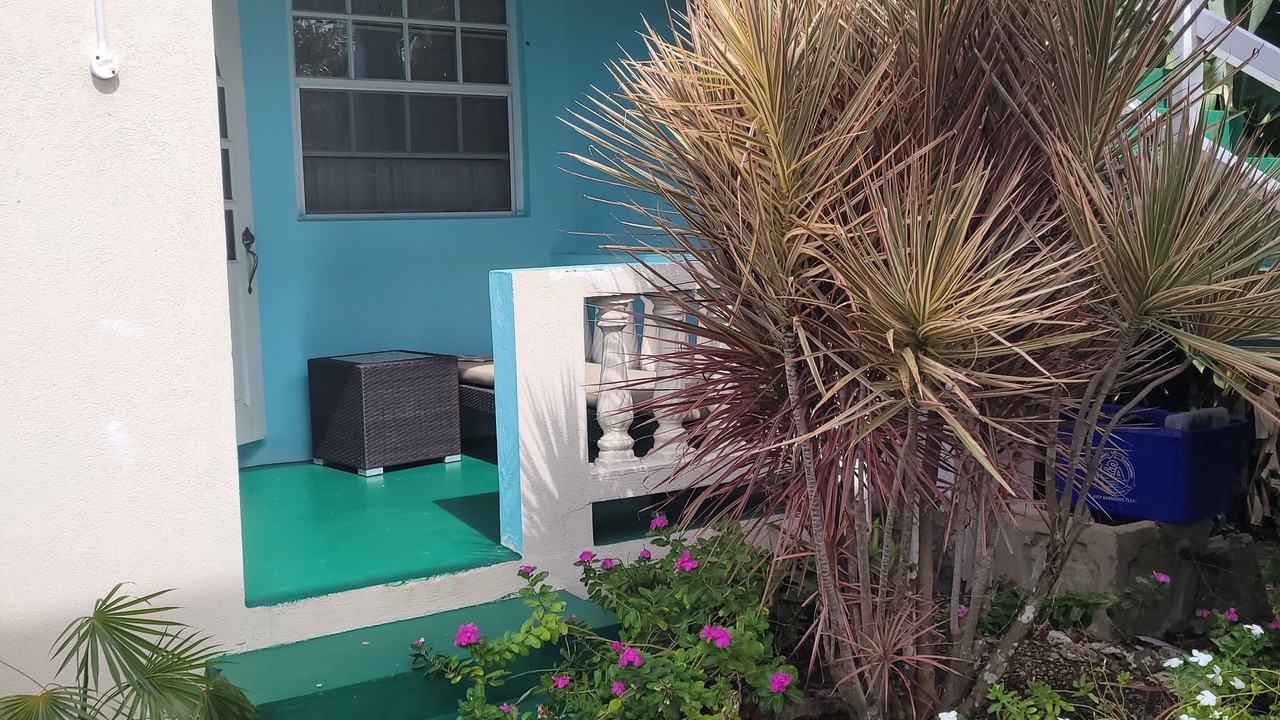 Photo of Outdoor in Weston