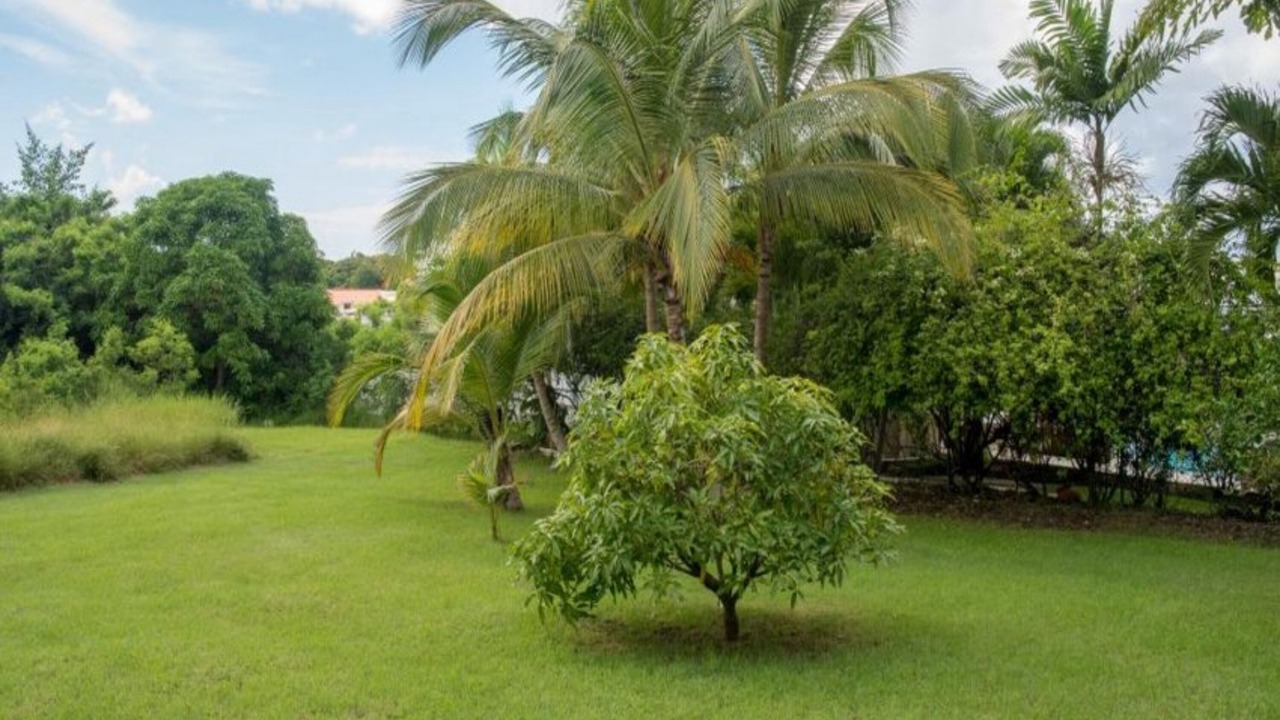 Photo of Outdoor in Gibbes