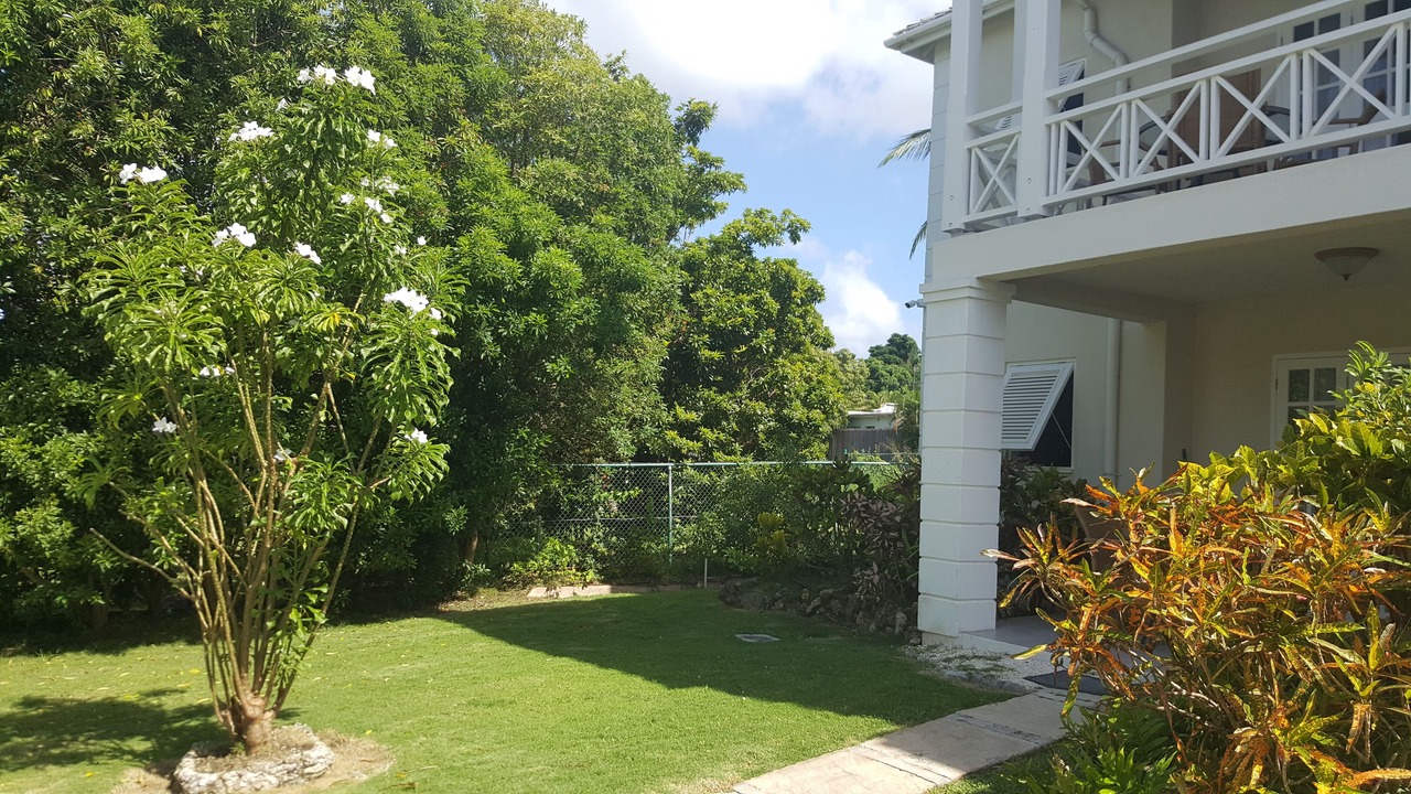 Photo of Others in Old Trees Bay