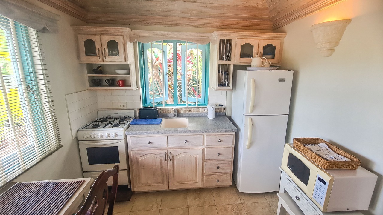 Photo of Kitchen in Sandy Lane