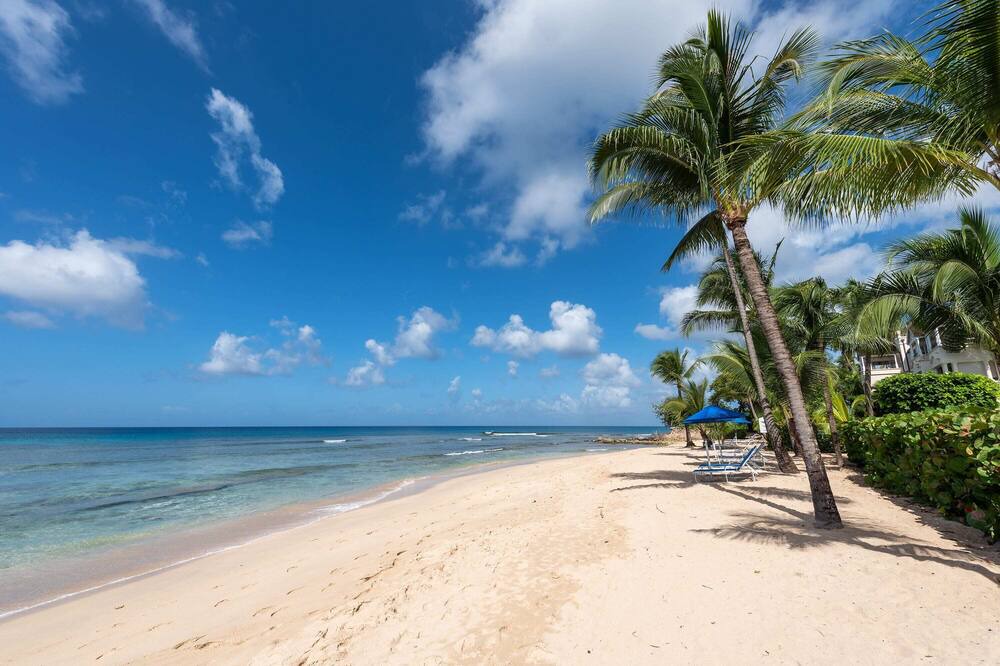 Photo of Others in Schooner Bay