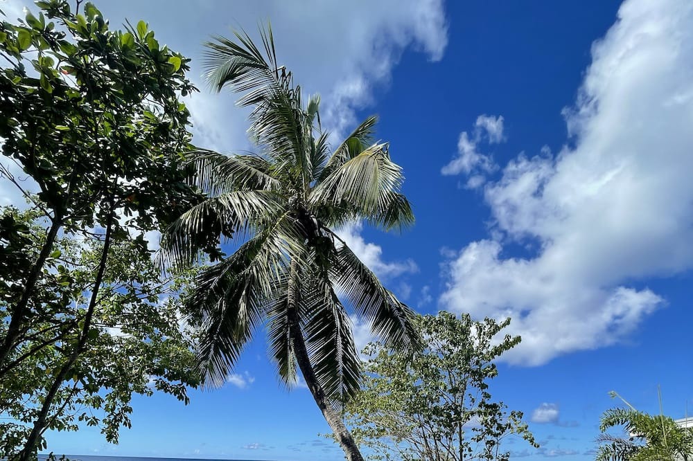 Photo of Outdoor in Clinketts