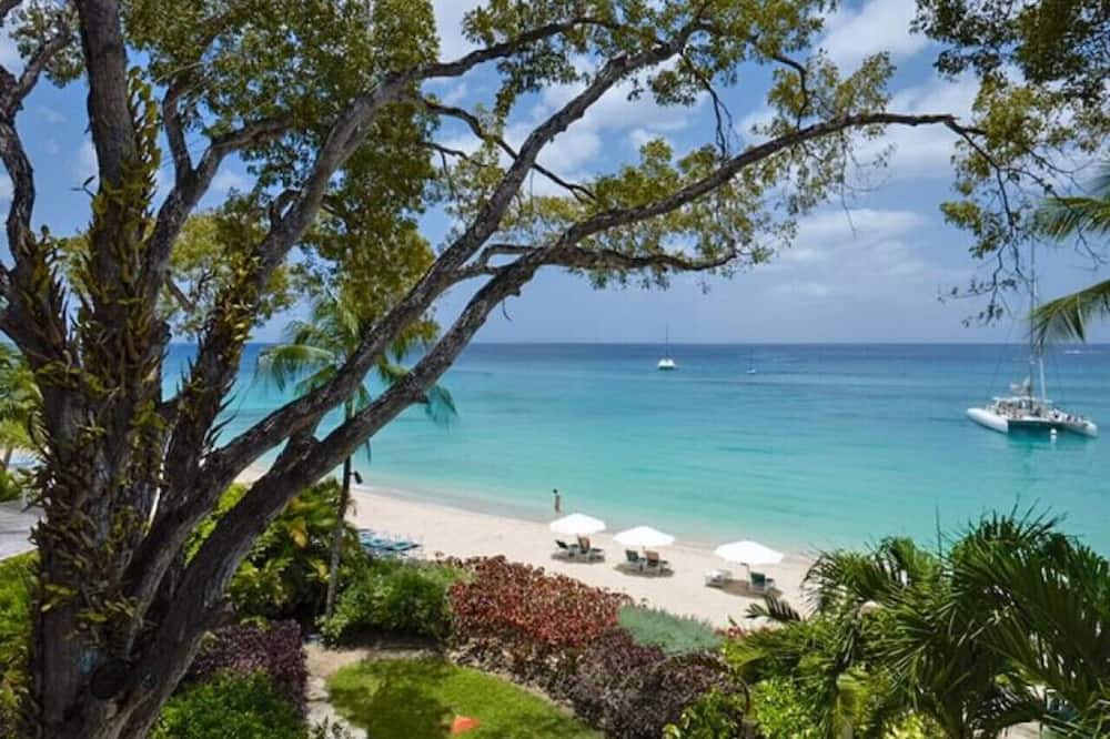 Photo of Others in Old Trees Bay