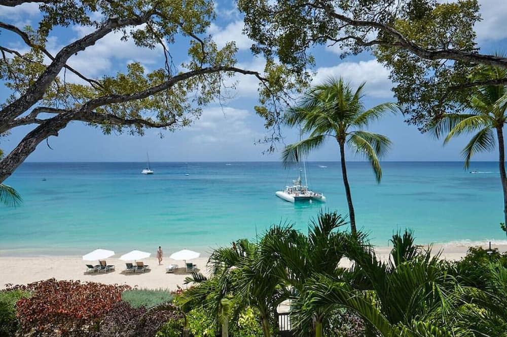 Photo of Others in Old Trees Bay