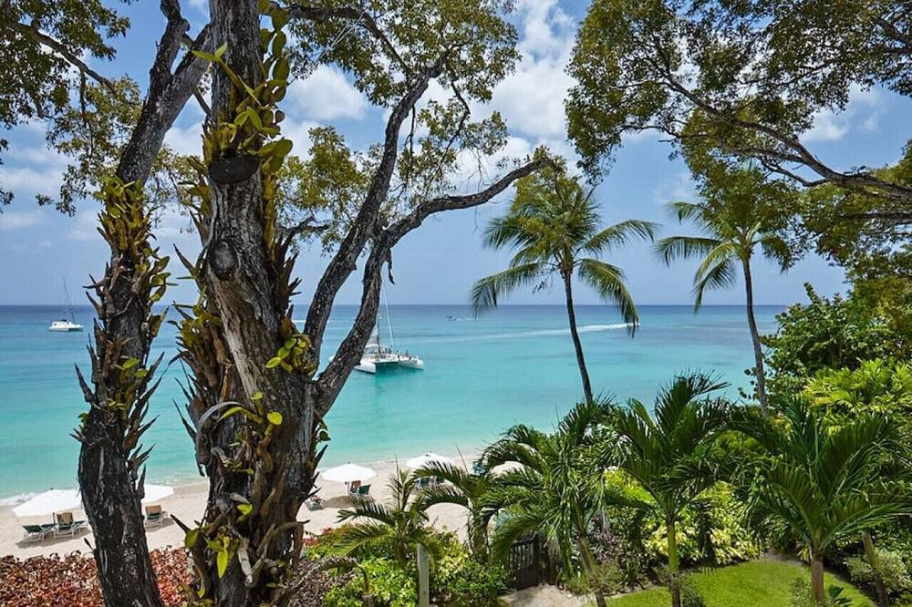 Photo of Others in Old Trees Bay