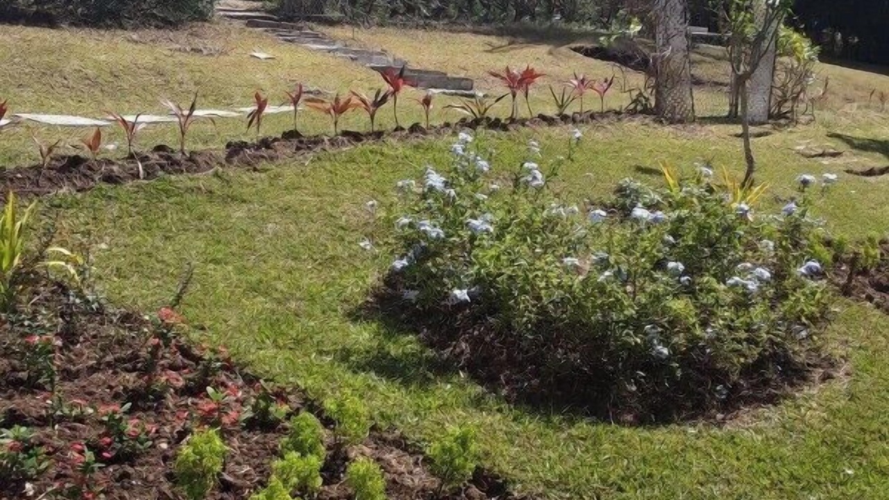 Photo of Outdoor in Westmoreland