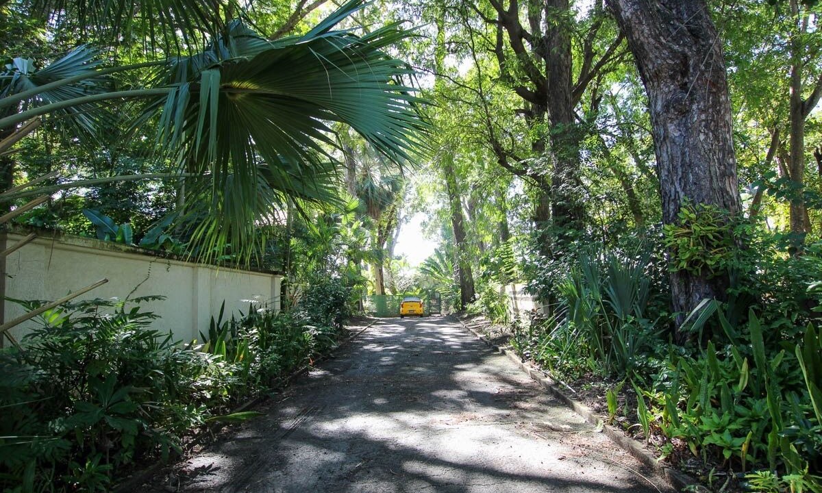 Photo of Others in Holetown