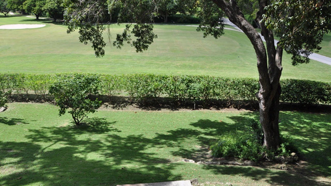 Photo of Others in Sandy Lane
