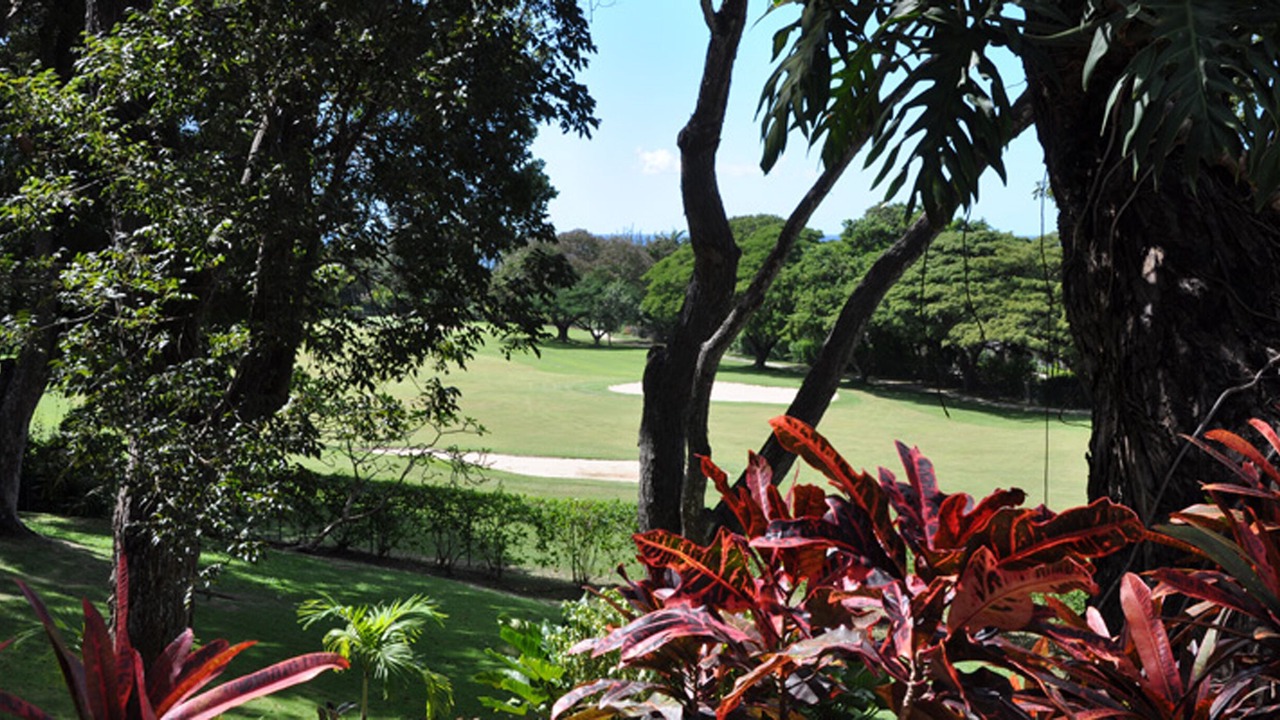Photo of Outdoor in Sandy Lane