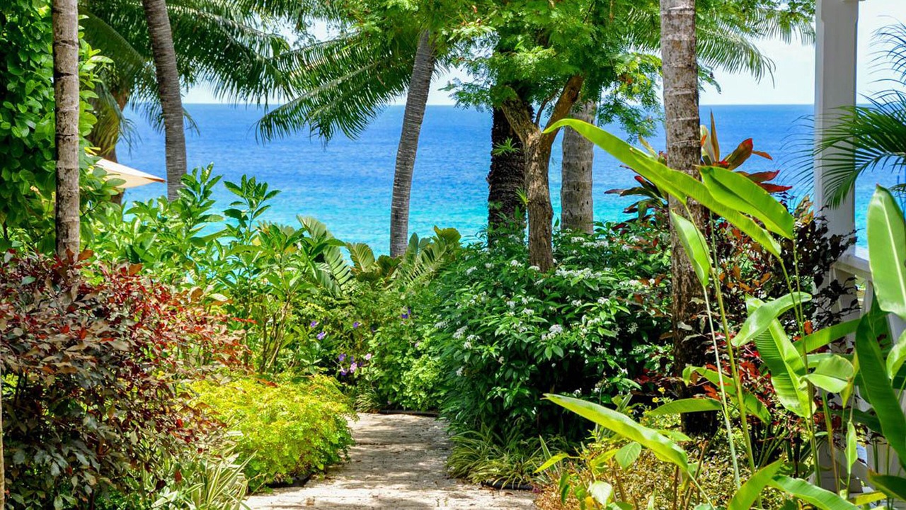 Photo of Outdoor in Weston