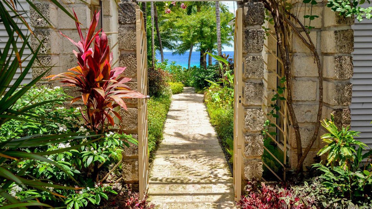 Photo of Outdoor in Weston