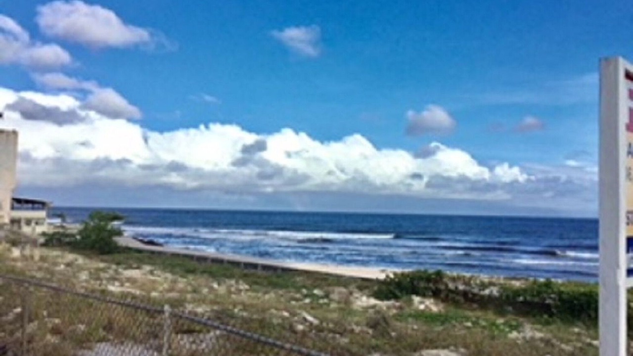 Photo of Others in West Coast