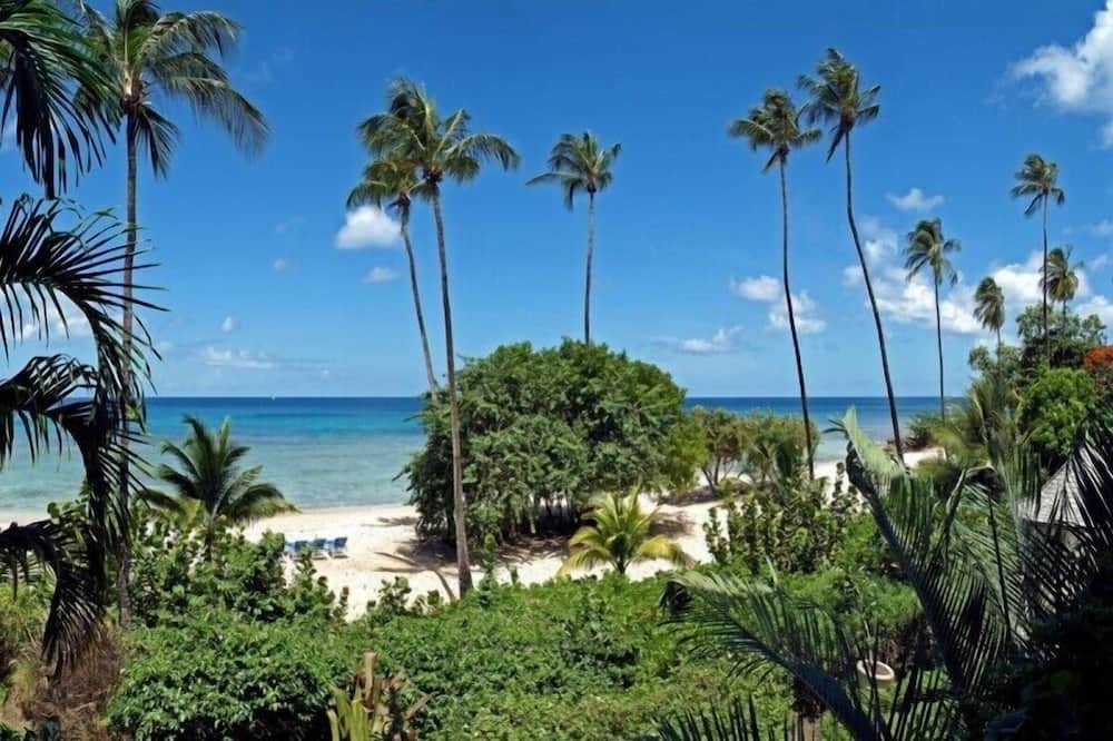 Photo of Outdoor in Schooner Bay