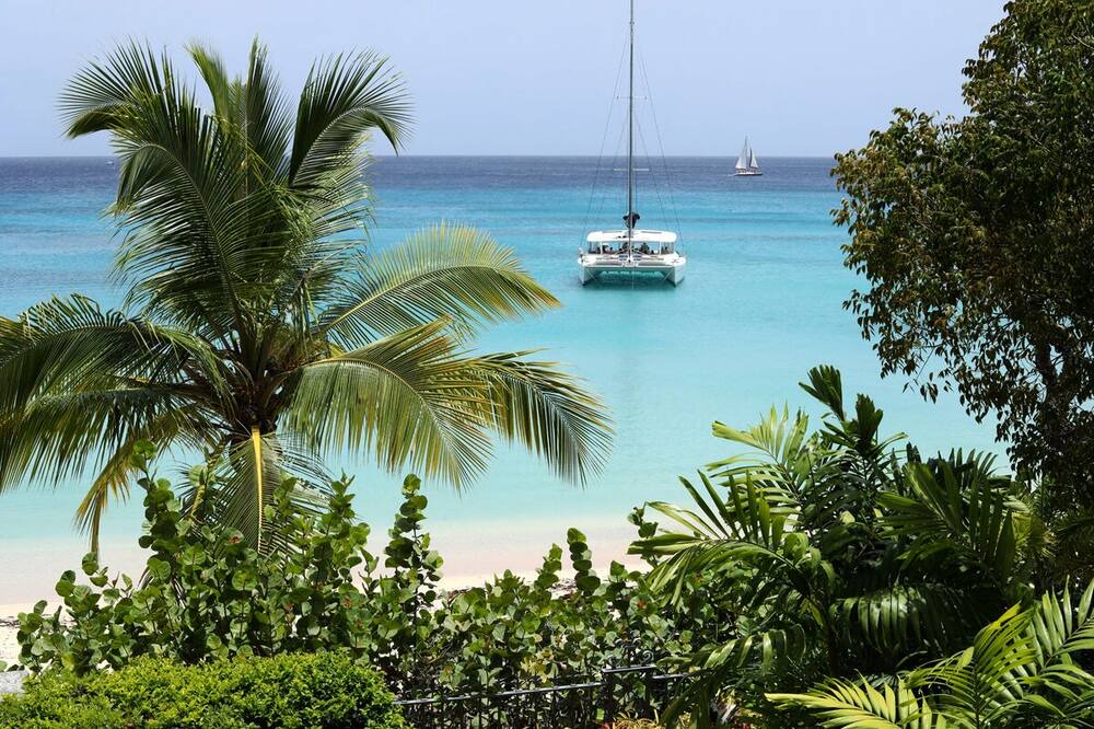 Photo of Others in Old Trees Bay