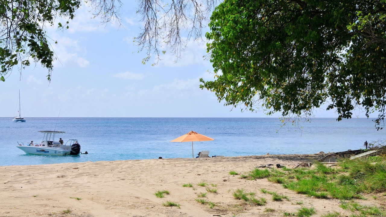 Photo of Others in Reeds Bay