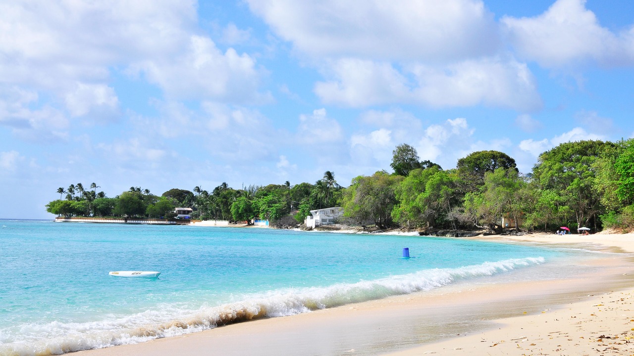 Photo of Others in Reeds Bay