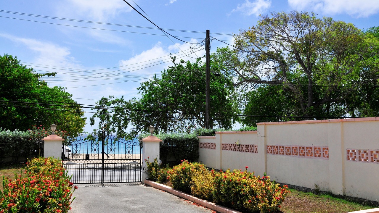 Photo of Others in Reeds Bay