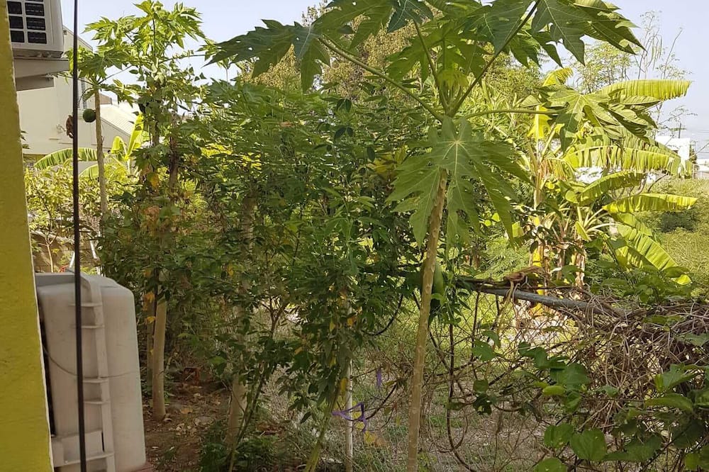 Photo of Outdoor in Gibbons Boggs