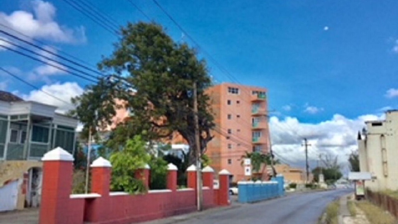 Photo of Outdoor in Hastings