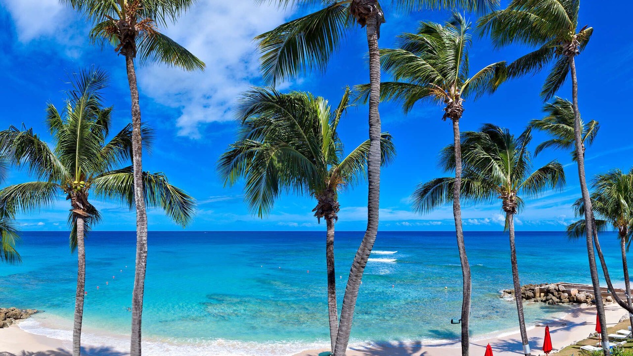 Photo of Others in Reeds Bay
